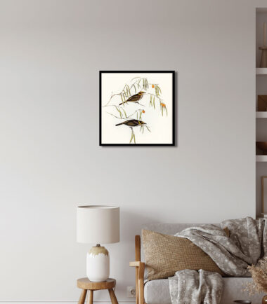 Whispering Sparrows Wall Frame