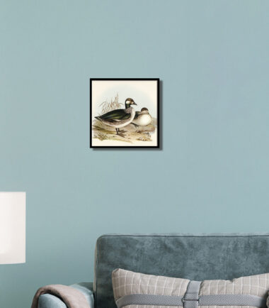 Quackling Lake wall frame