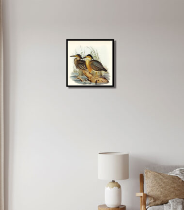 Quackling Lake wall frame